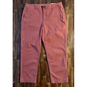 Ann Taylor Loft Size 14 Curvy 36 x 27 Monroe Slim Pant Cotton Stretch Chino